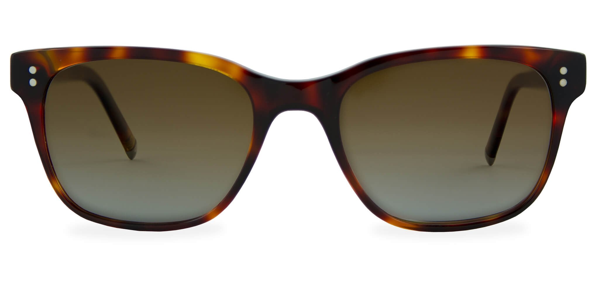 Medium Havana with Brown Gradient