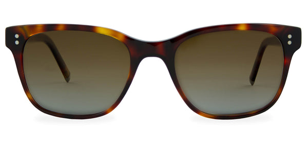 Medium Havana with Brown Gradient