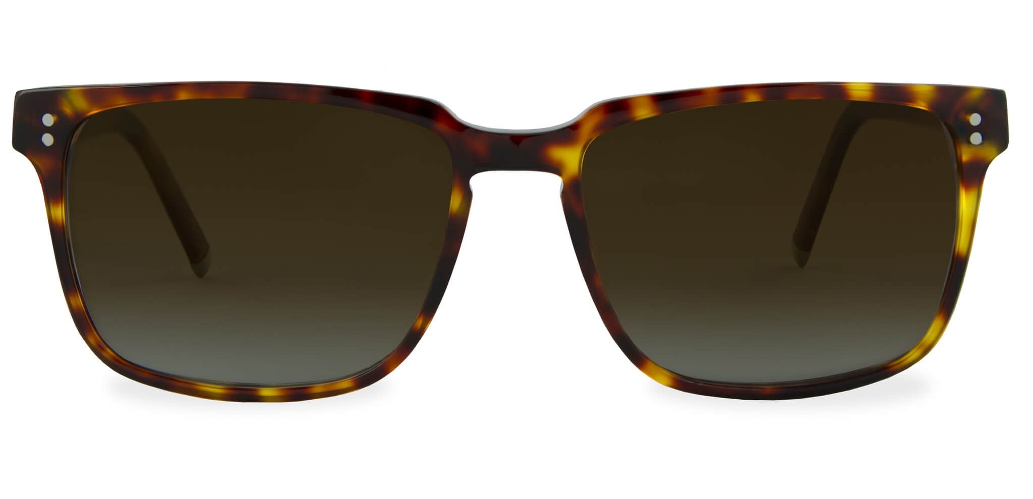 Medium Havana with Brown Gradient