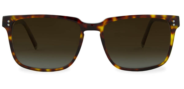 Medium Havana with Brown Gradient