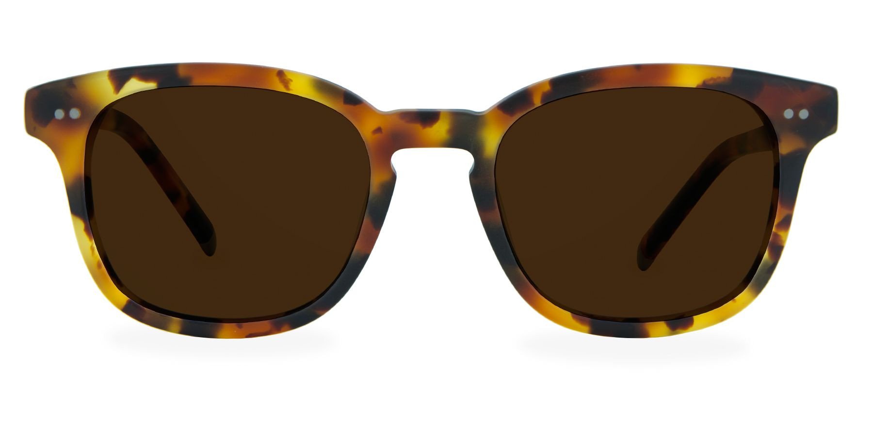 Matte Caramel Tortoise with Bronze Lenses