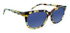 Walnut Tortoise with Blue Gradient