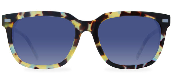 Walnut Tortoise with Blue Gradient