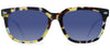 Walnut Tortoise with Blue Gradient