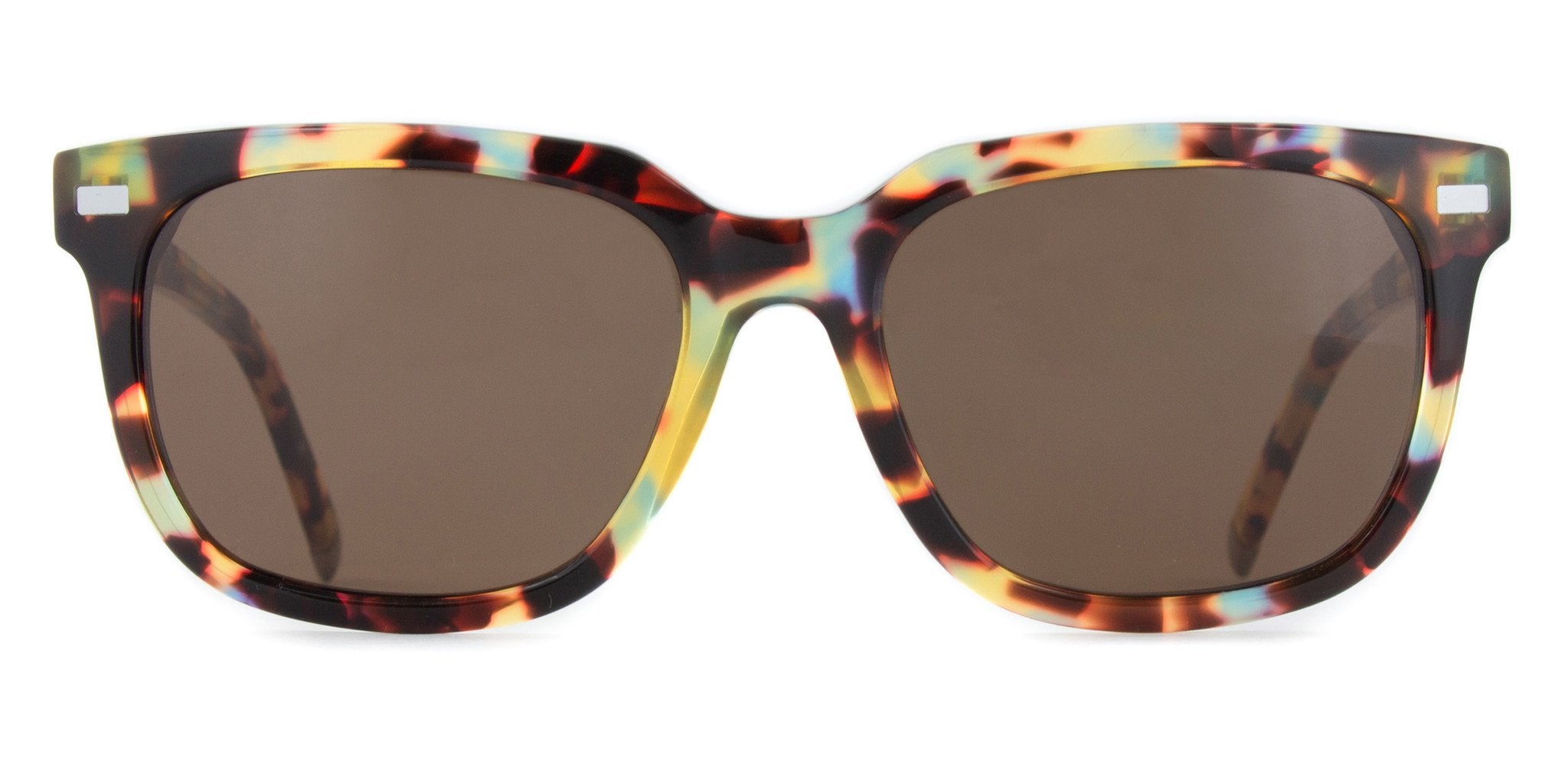 Walnut Tortoise with Bronze Lenses