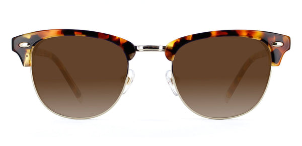 Caramel Tortoise with Brown Gradient