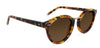 Caramel Tortoise with Brown Gradient