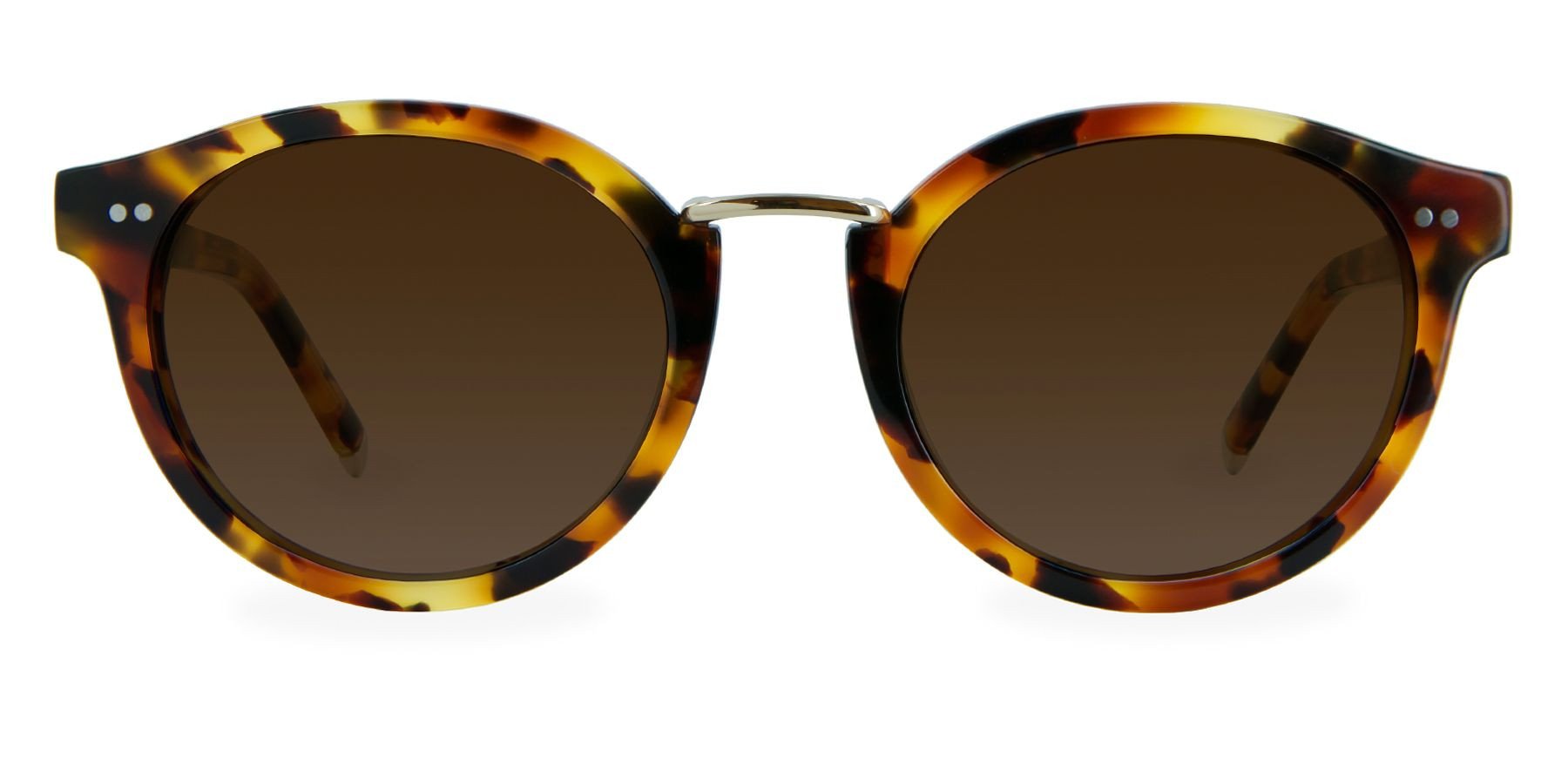 Caramel Tortoise with Brown Gradient