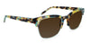 Walnut Tortoise with Brown Gradient