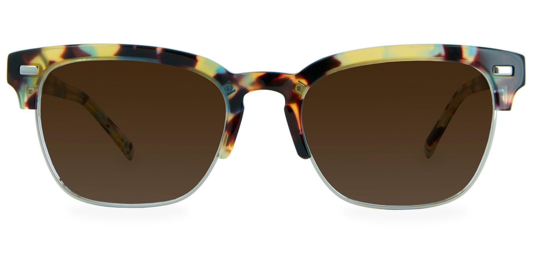 Walnut Tortoise with Brown Gradient