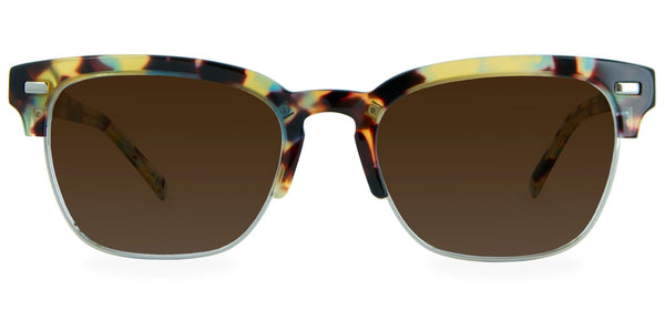 Walnut Tortoise with Brown Gradient