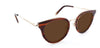 Rosewood Stripe with Bronze Lenses